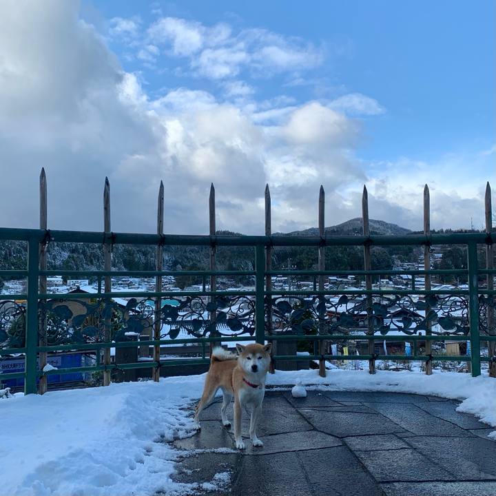 9843fec9 3102 4dc5 a759 0333e571aa03 1608292576606