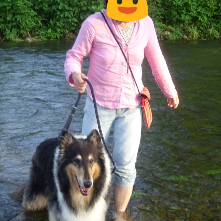 98440a54 0657 4944 95a8 5aacc9736b92 1595167204893