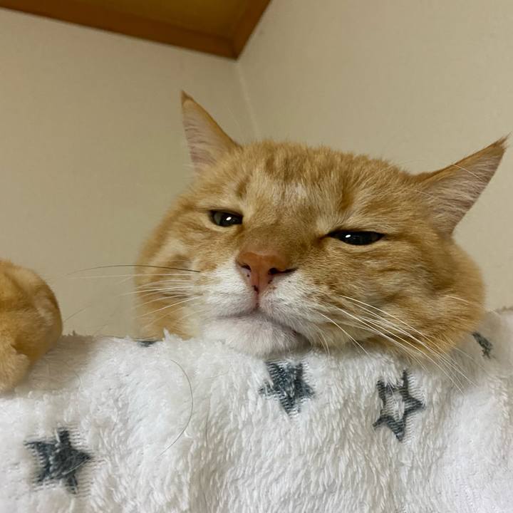 98441874 59f7 4ef4 b137 f65811fbbb92 1707868417809