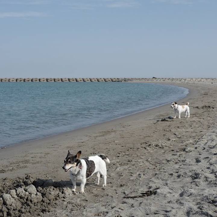 98442987 fd4c 4c2f 9389 0282ebbe4b7a 1559622052348