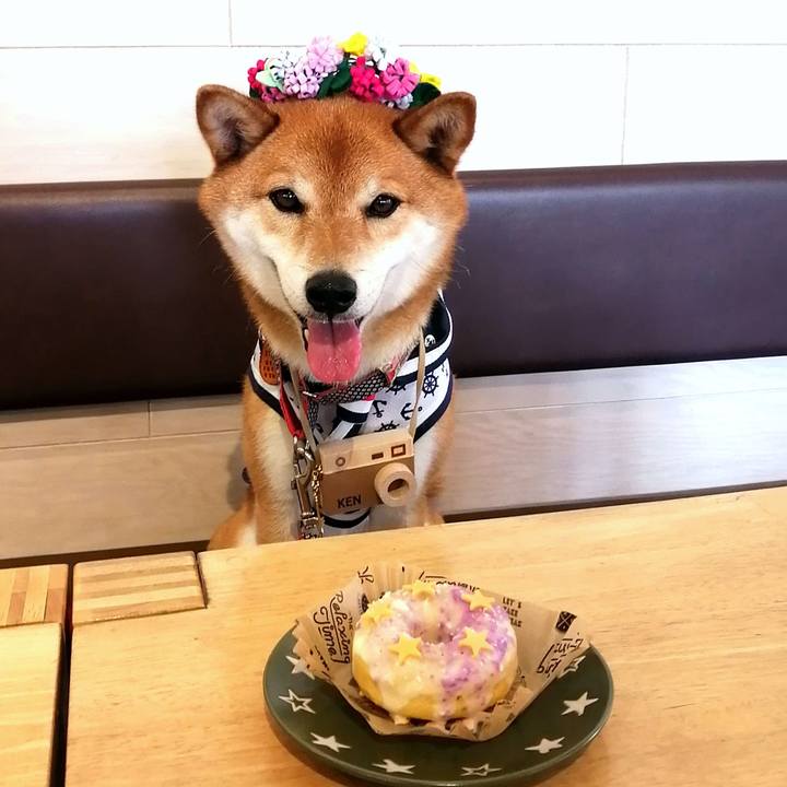 98442f69 2e6d 4814 8707 c97b3a71b355 1625477237487