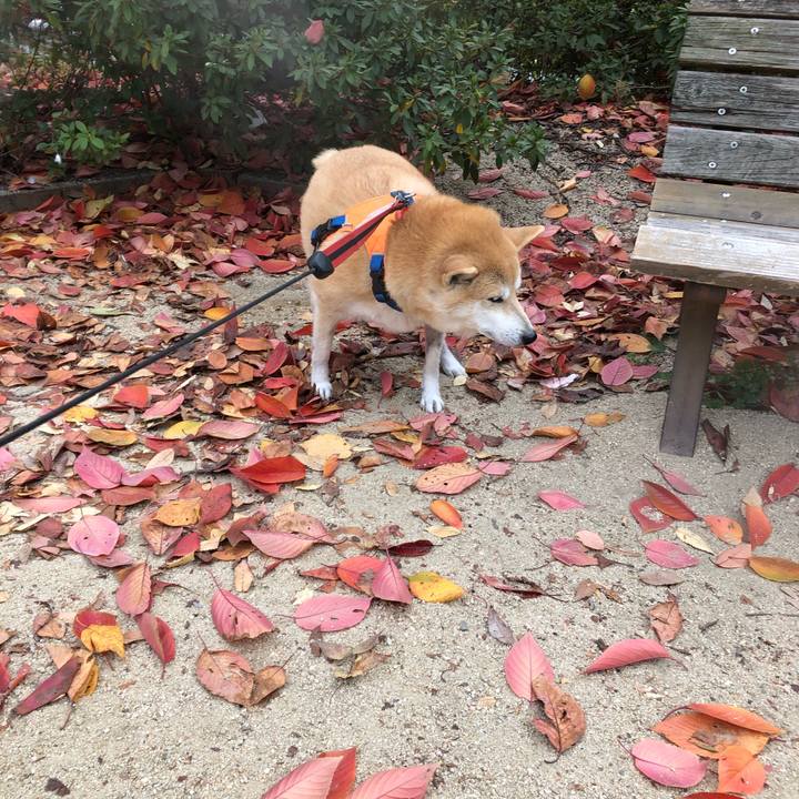 984432a7 a84a 4e31 8859 bb2d69b7585a 1575079926706