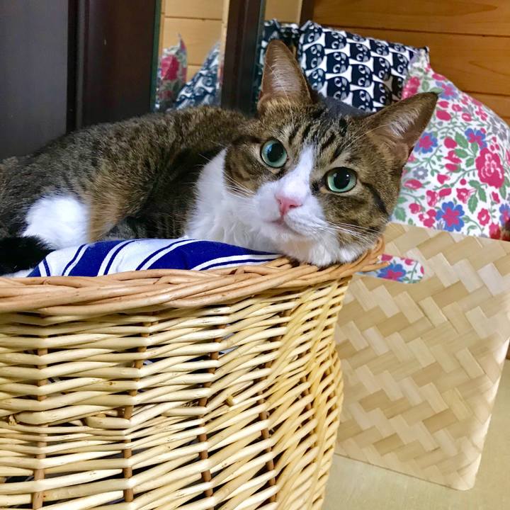 98448019 383a 4df8 9780 588905449e7e 1511919987584