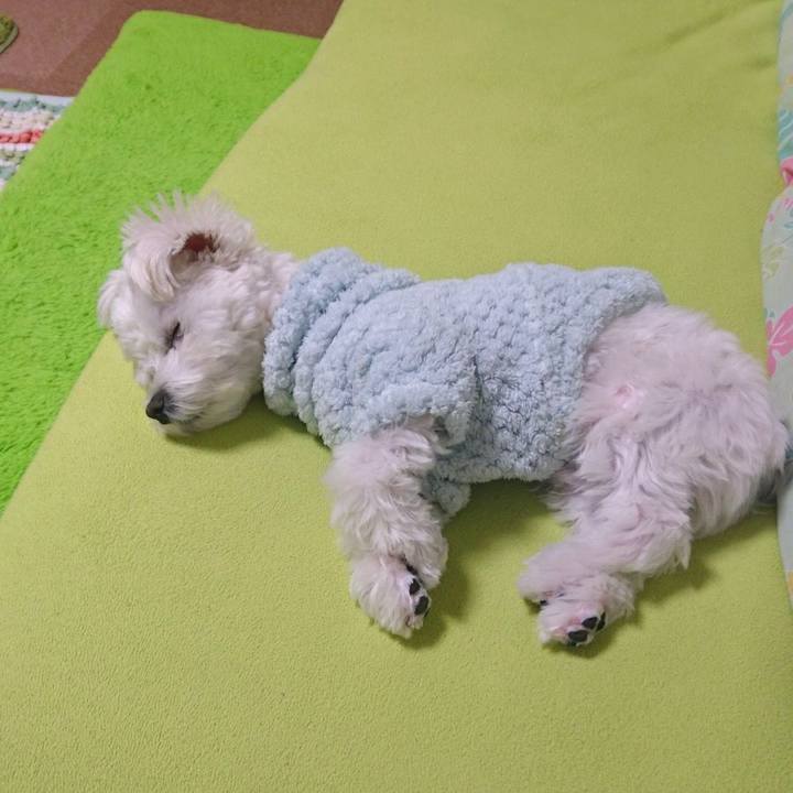 984489cf ac1e 4e34 9002 a17c1d08d779 1519332920260