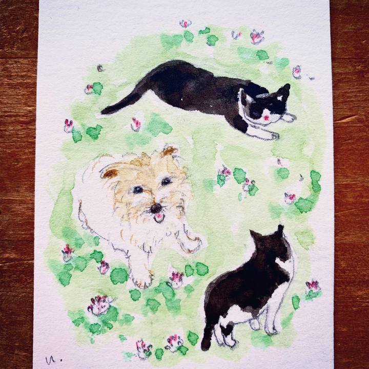 984493fe 8382 469c be64 e5377cb3be13 1611541245314