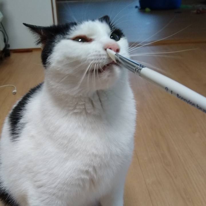 9844940d 60e5 4a91 9770 33e6594c55d9 1561850581673