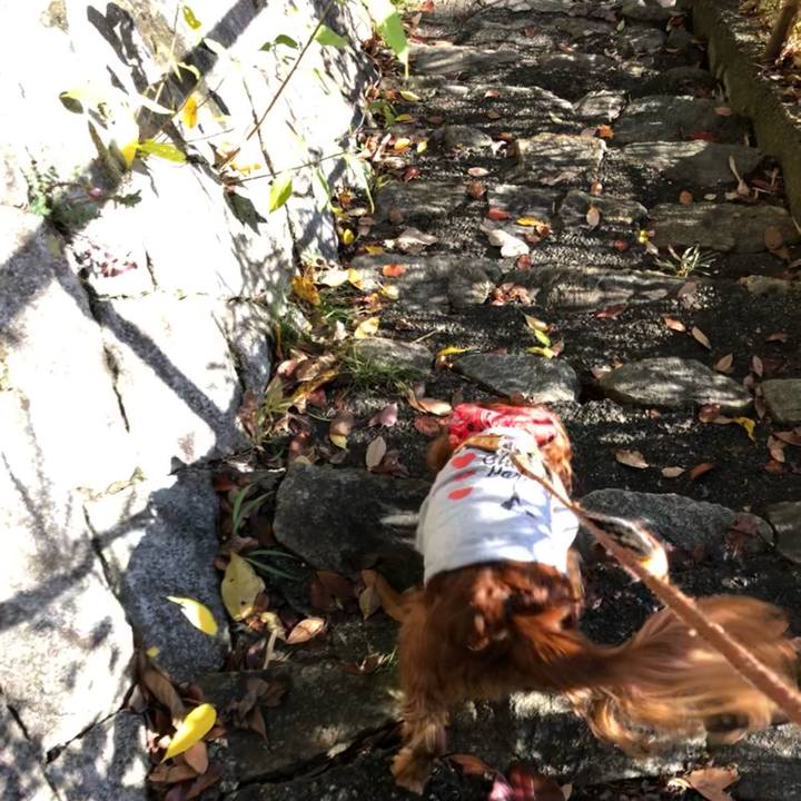 9844a8d1 636b 43e5 bf30 3a3082bc374d 1637629568029