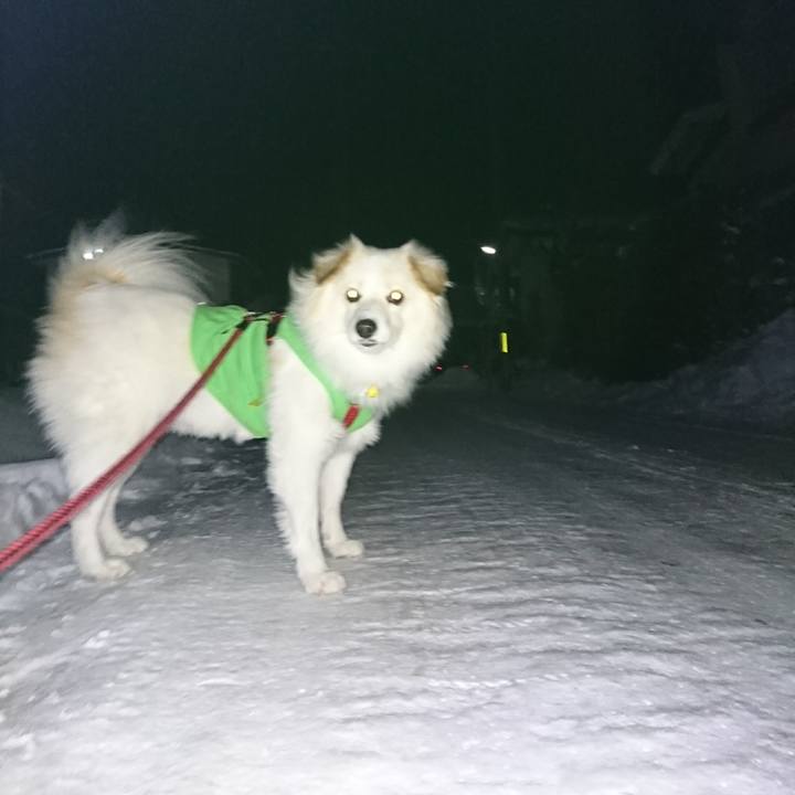 9844b19b 6a2b 4053 bbcb 5f8b4cfc6e15 1517000277268