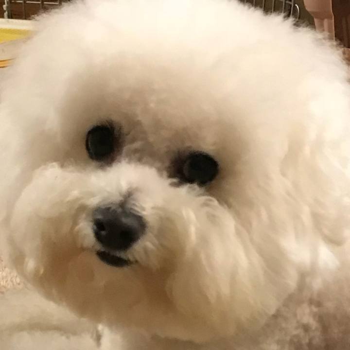 9844c0c5 e7c8 4f50 ab46 eec29862fa09 1554719196546