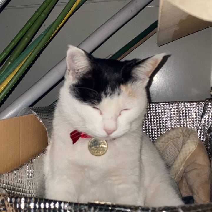 984504aa b0ea 42b0 8d62 e71d9857cb30 1640253720274