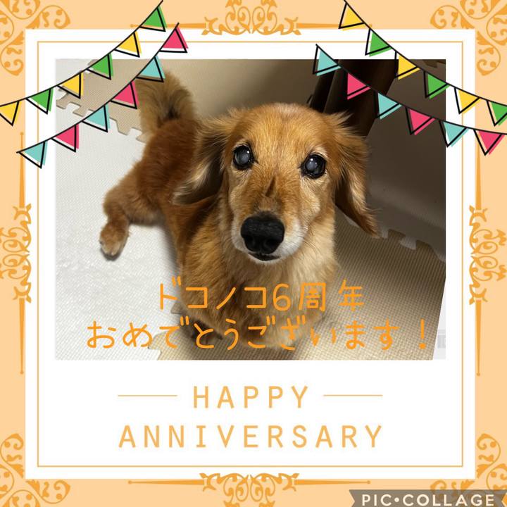 984520ac 632a 447c 8a81 9b979c822407 1654523663834