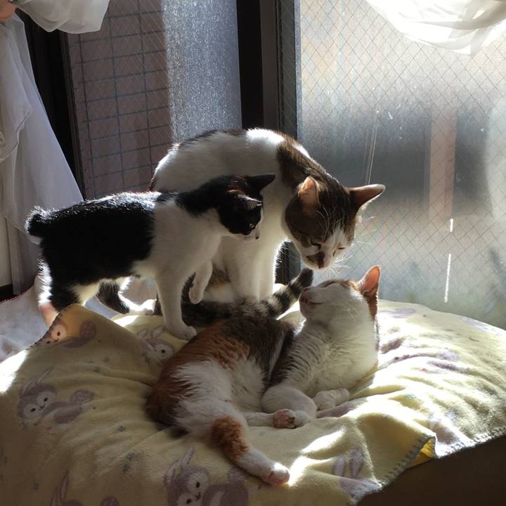 98452445 1791 4336 bc65 7fac8eed4316 1577418182408