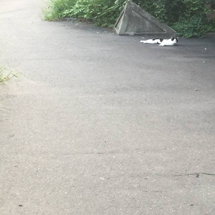 98455a56 0f03 4eb1 9d64 b4664d7dc821 1724452366619