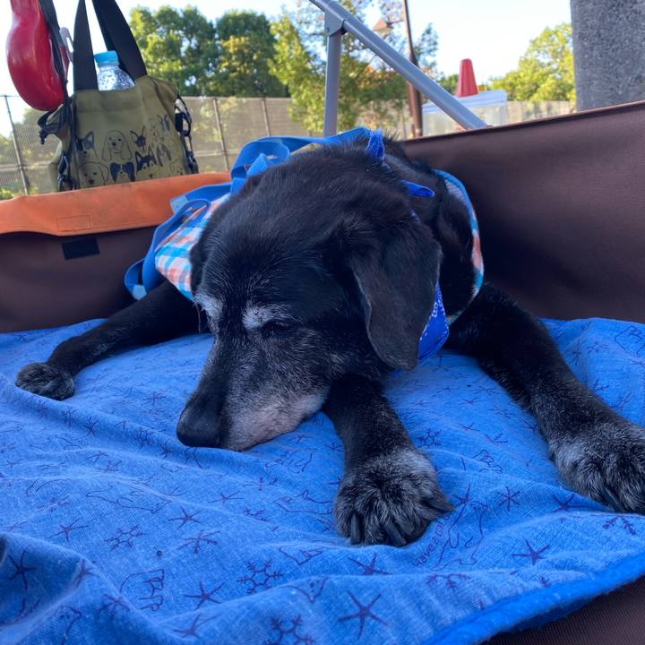 98456f12 7eae 4f15 a9ef d1b2bac60701 1753772212819