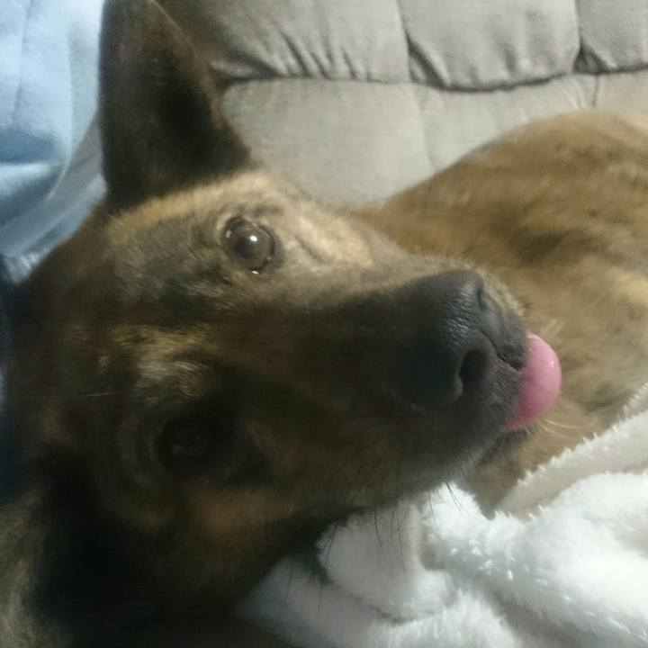 98458654 1149 4321 b9df 4da70b9b1126 1519643499487