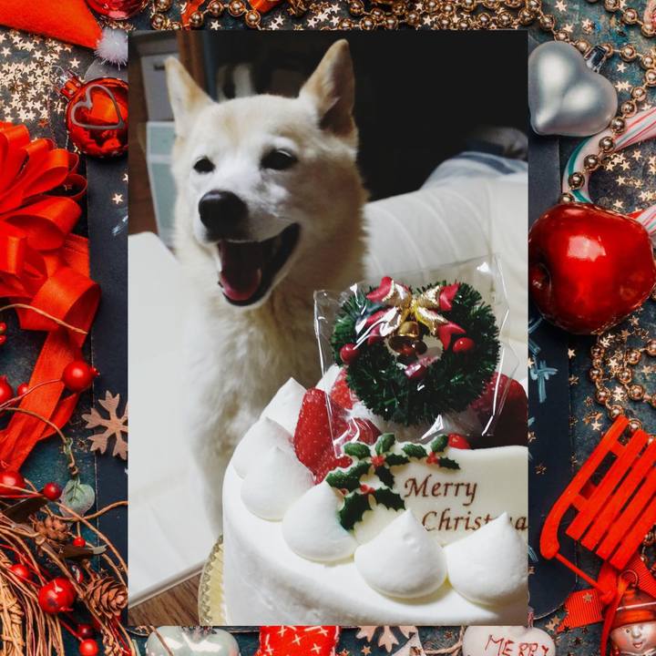 98459cdd 7fa1 430d acfe 15a10d5c2253 1608824408778