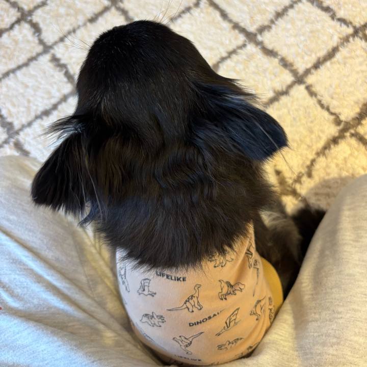 9845d5f2 3577 4549 afff 26e080130df8 1740241777585