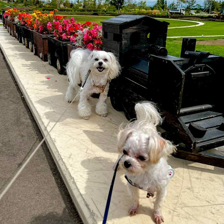 9845e090 d6b5 4cf0 b642 50227613746e 1663301276435