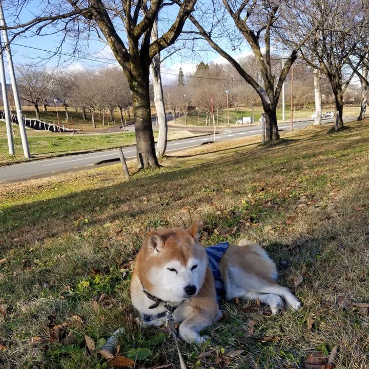 9846070e d261 48fb 9ae7 f40d8d73e4be 1670564521437