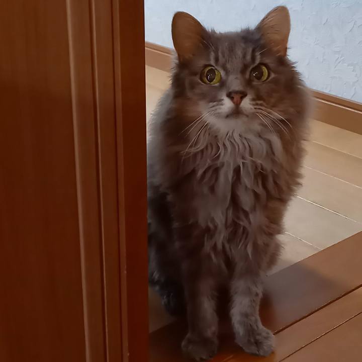 98461a1b 6cbe 4952 9451 359d7d69b286 1662171524350