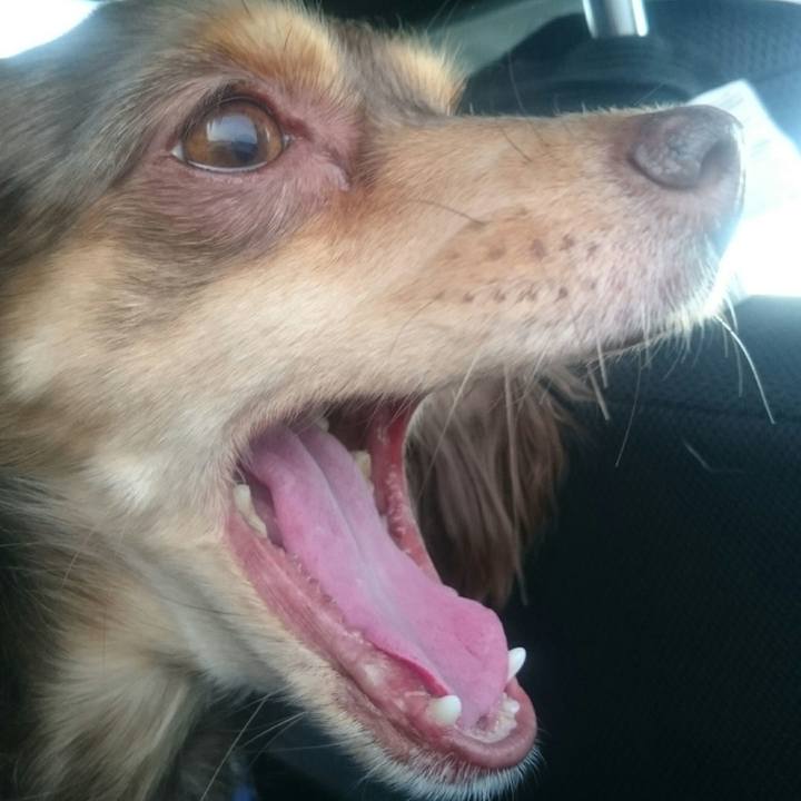 98461b0c 5b9d 4d86 b607 a13ef24df874 1519283212146