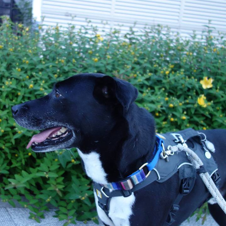 98464f2d f49f 4701 9d4c bf1034a632de 1653476845340