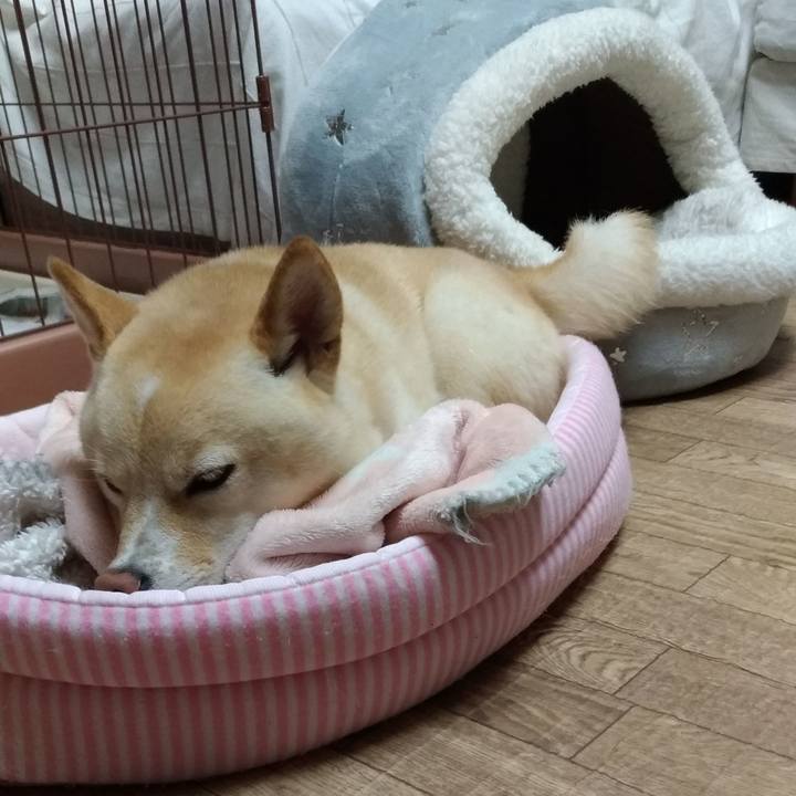 984676ee cddc 4eba ba66 96367477dcf9 1602675542088