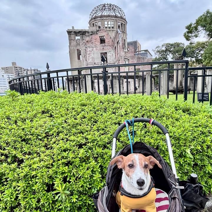 98468b99 4a87 4c1b a31f 91967f8dafbc 1758715946665