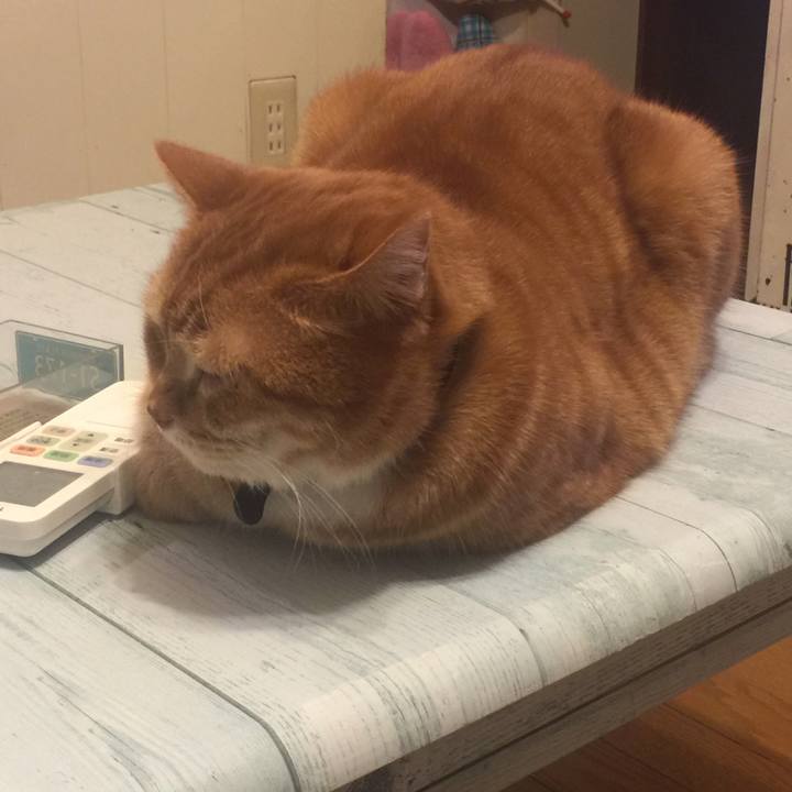 9846b957 16e4 474e a0dd cf571a0c0331 1547995540903