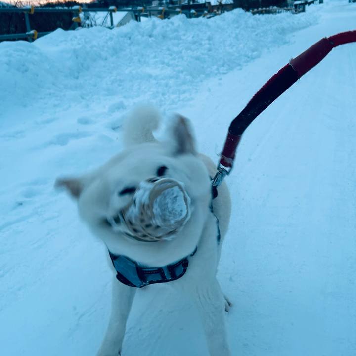 9846d6cd 5a1d 4fc8 90d2 68f3a2be925c 1734215092795