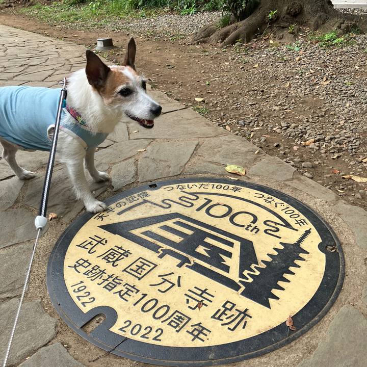 9846dd36 628b 41b9 9b8f 0f5682beb1d1 1696462133384