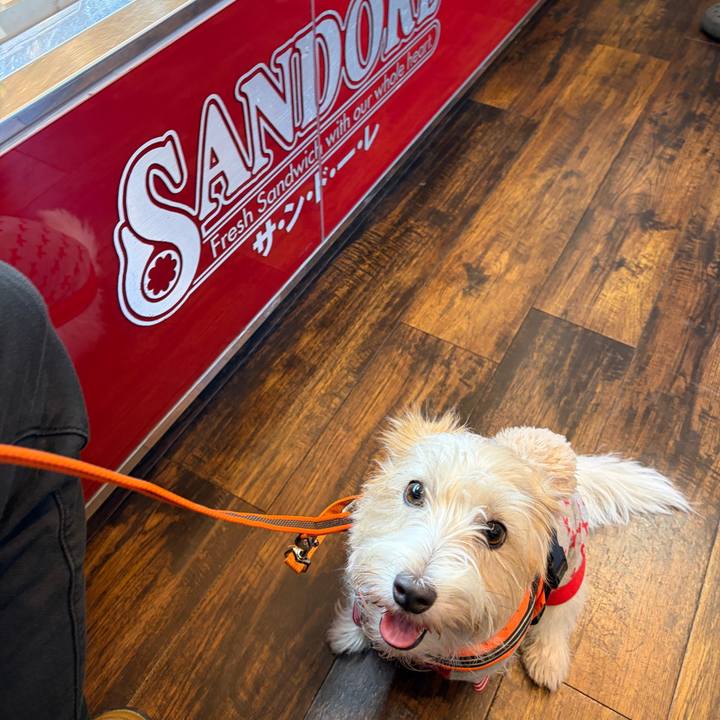 98471140 17bb 4798 9306 ac08e95fafd2 1764803901223