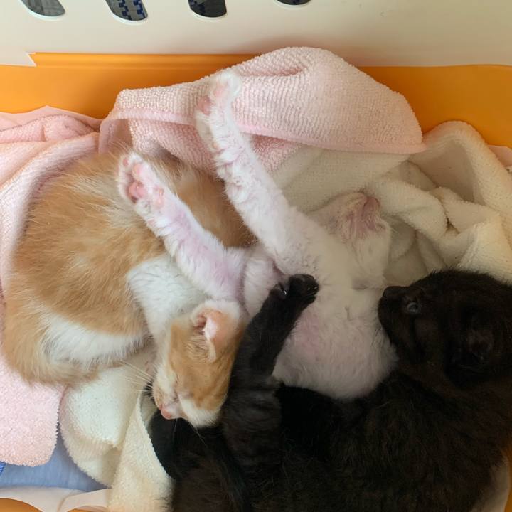 984725fc 52e7 4432 8785 4055afcf31bf 1634452310723