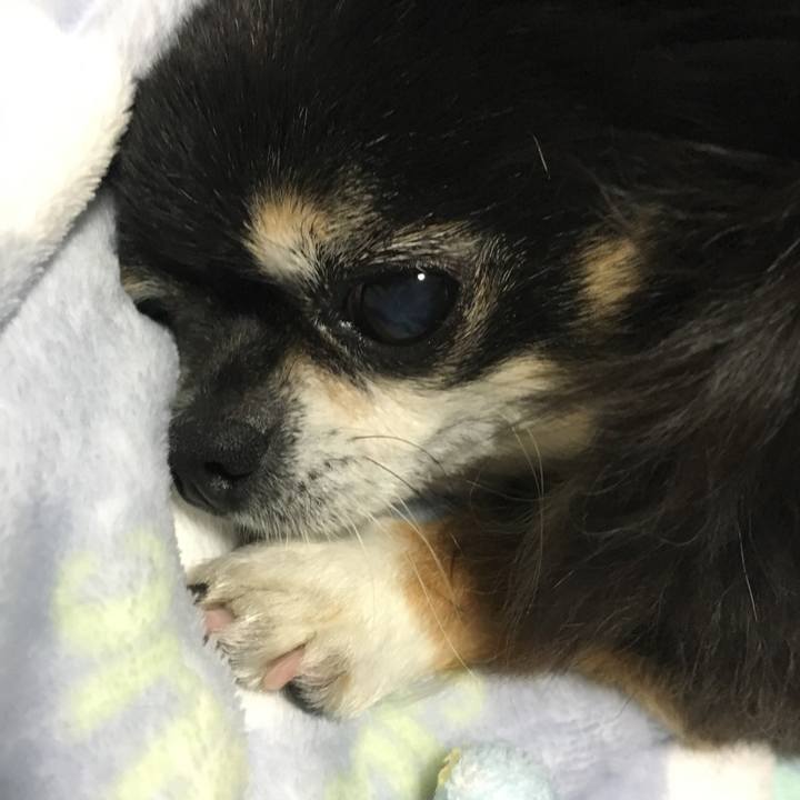 98472f3e 3c3b 4281 ae17 fda0e00eb956 1507719315368