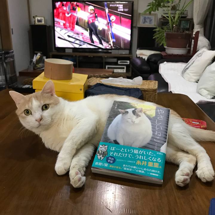 98473d23 e10c 4687 8f06 c2b160a39107 1519043467911