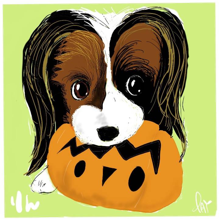 984796fa 43c3 4c0f a7cd f94b4a68379b 1634594737538