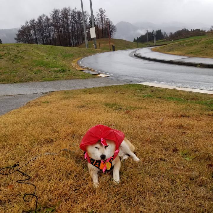 9848341a e64c 4c6a a728 28b2fdc0ba55 1638938732679