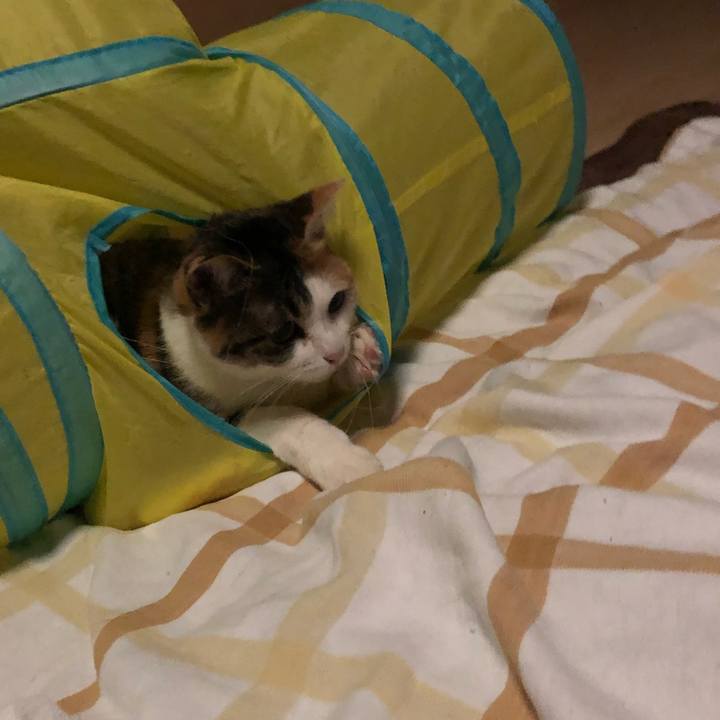 98484038 fa0d 492c 9f6a 3753f6aa2f85 1579285566442