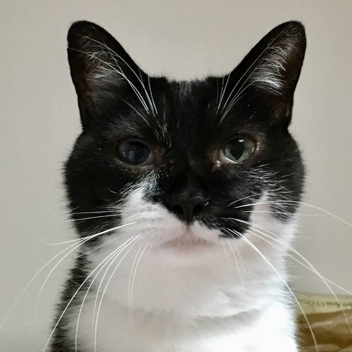 98484d52 0f97 499f 8327 cf349a899c5d 1567082344456