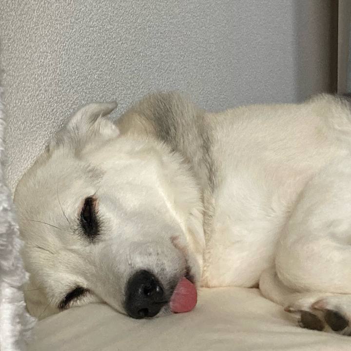 9848930c 8964 479e b2b0 764042ad242f 1657942046878