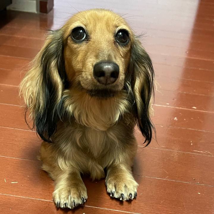 9848b561 96d6 4839 a5c4 6e691ac8f556 1640437244987