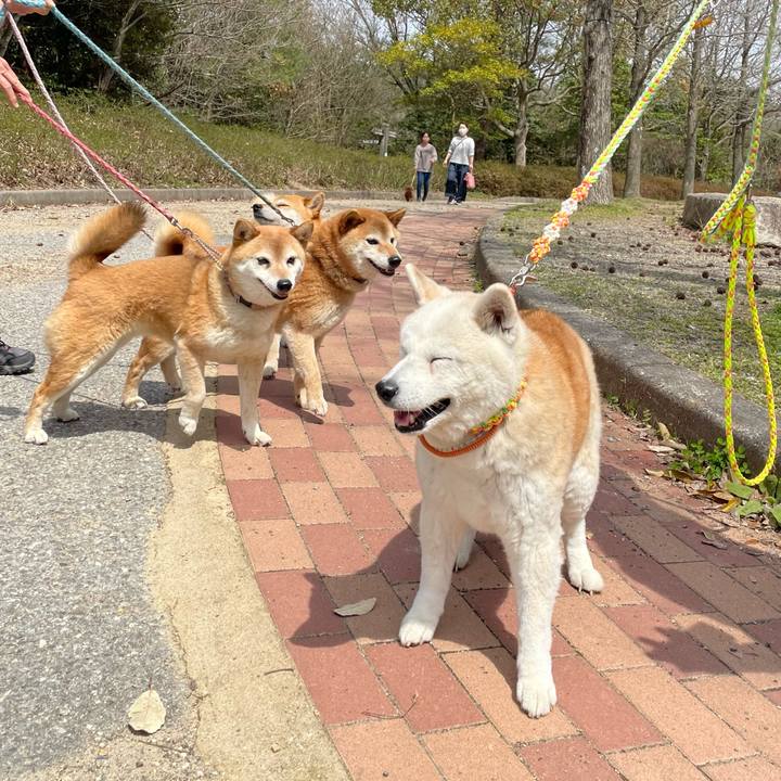 9848bf6b 93eb 43d0 873c c869f4bd2197 1712395986069