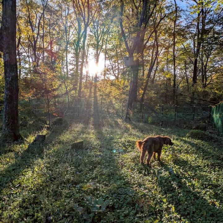 9848ce44 6521 4916 9309 dcfa55d7762a 1762068245388