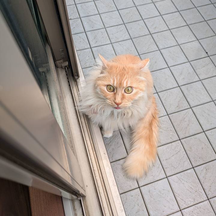 9848eae0 fdc6 45a5 9438 601f6214539d 1746757938331