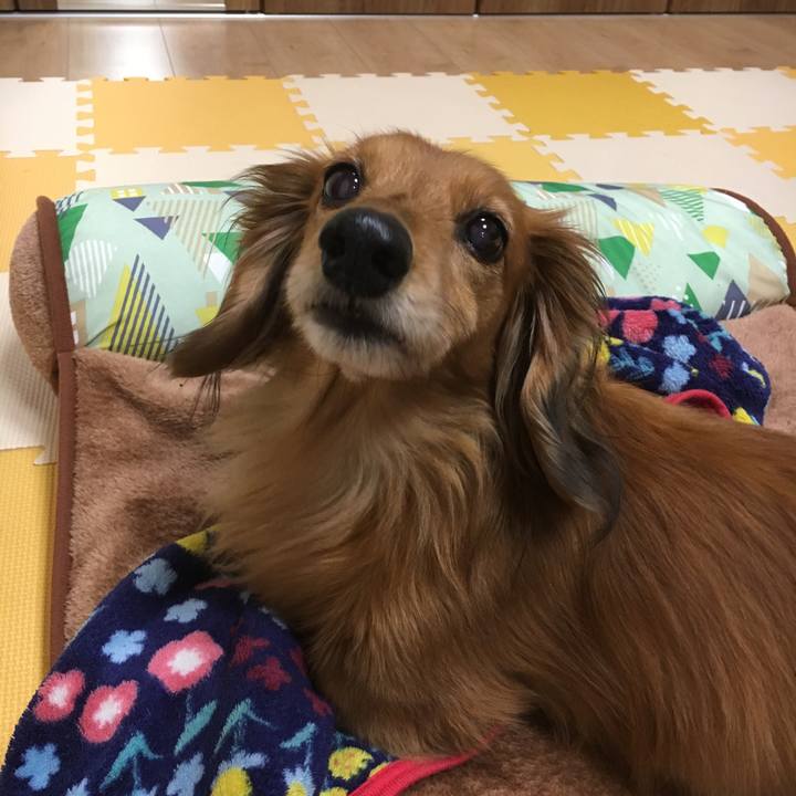 9849181b eb15 4ef4 9966 baae20d33380 1551100755496