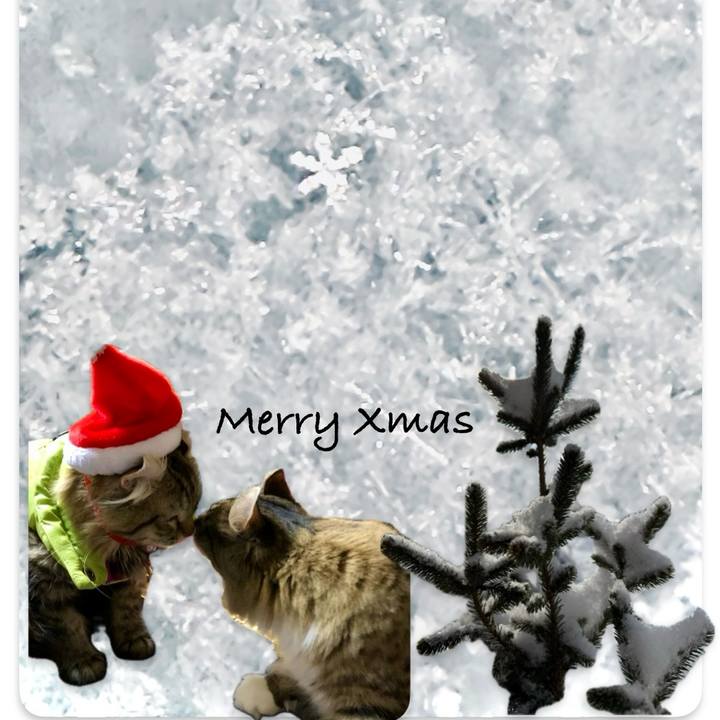 984918a9 e07d 4b63 94c3 5f42e24d2961 1735046868310