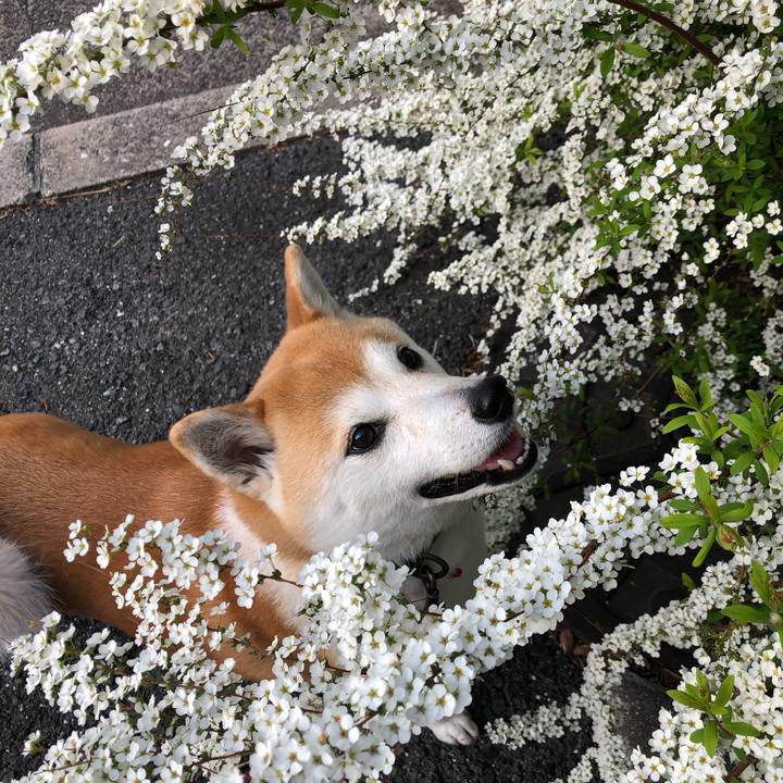 98494765 cc72 42ef 81f2 309f6be1f151 1616218695470