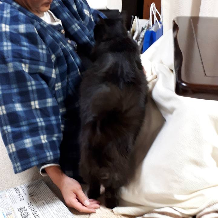 98495dcb 0d04 475e 9e71 7aac841b910d 1519383586059