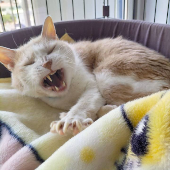 984968b9 9c4d 43a3 aa90 bb6aea1869bf 1682640888567