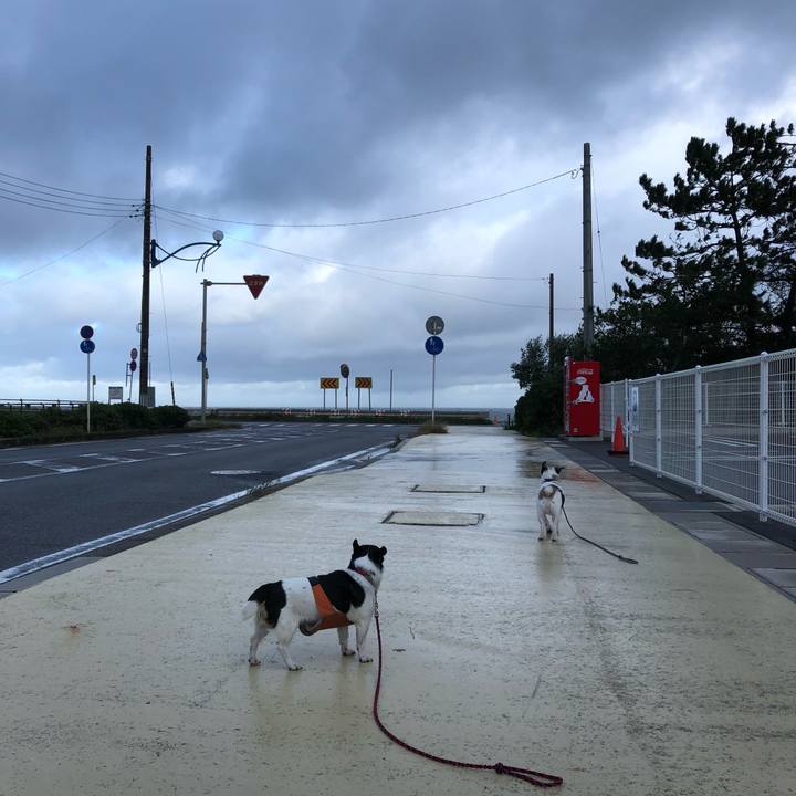 98497f45 0a63 44b5 b568 9d06aad3013b 1538350165002